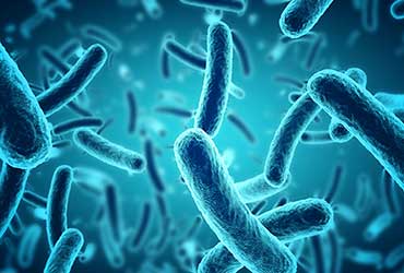 Systèmes de Désinfection